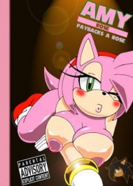 Cover Amy Rose Paybacks A Rose