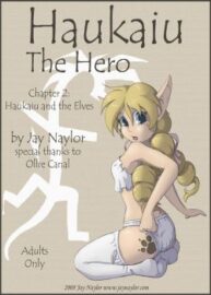 Cover Haukaiu The Hero 2