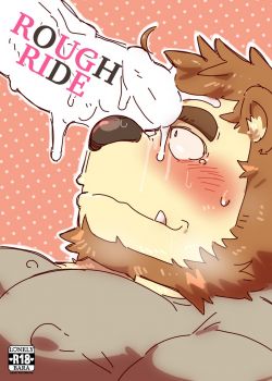 Cover Rough Ride