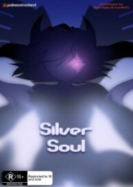 Cover Silver Soul 1