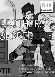 Cover Brothers’ Secret