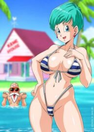 Cover Bulma At Kame’s House