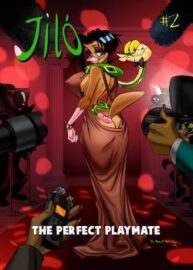 Cover The Perfect Playmate 2