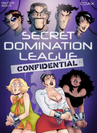 Cover Secret Domination League 6 – Confidential