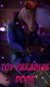 Cover Toy Paradise Door